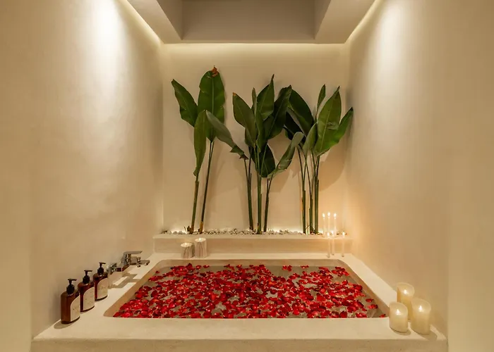 Romantic Stylish Private Pool Amara 1 By Orivista Canggu (Bali)